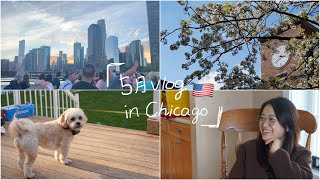 🇺🇸5月VLOGアメリカ留学生活