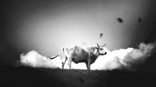 Bull of Heaven - Her Name is Unending