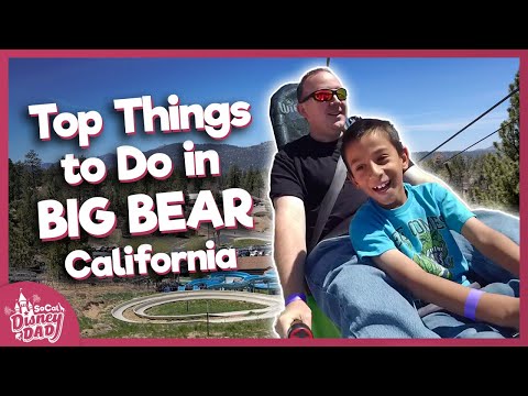 Top Things to Do in Big Bear, CA | Zoo, Alpine Slide, Coaster & More