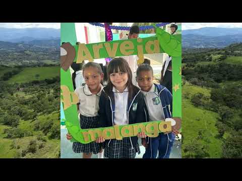Proyecto de investigación, colegio Aurelio Martínez mutis - Puede Nacional 