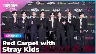 [2022 MAMA] Red Carpet with Stray Kids | Mnet 221129 방송