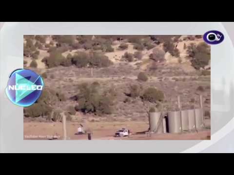 EL JETI O CHUPACABRAS DE PORTUGAL ?? JUZGUE USTED MISMO