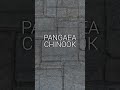 33 Variations Of Pangaea Natural Stone Shorts