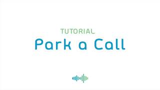 Polycom 350 - How To Park a Call - Qbits Tutorial