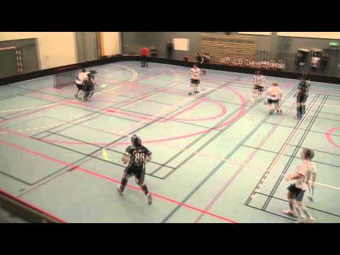 Borås IBF - Årskrönika 14/15