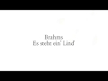 Brahms - Es steht ein' Lind'