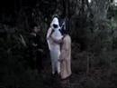Viajando (O diabo é careta) video