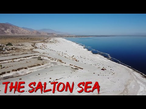 The Salton Sea