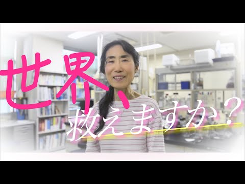 教養学科 鈴木美穂准教授