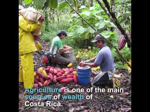 Video NAHUA Chocolate with purpose