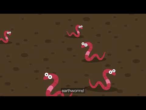 Farming Circle of Life: Healthy Soil