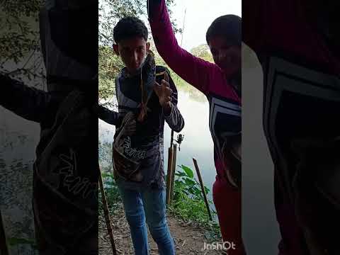 Pescaria de lambari no rio paraíba em Porto real rj. 