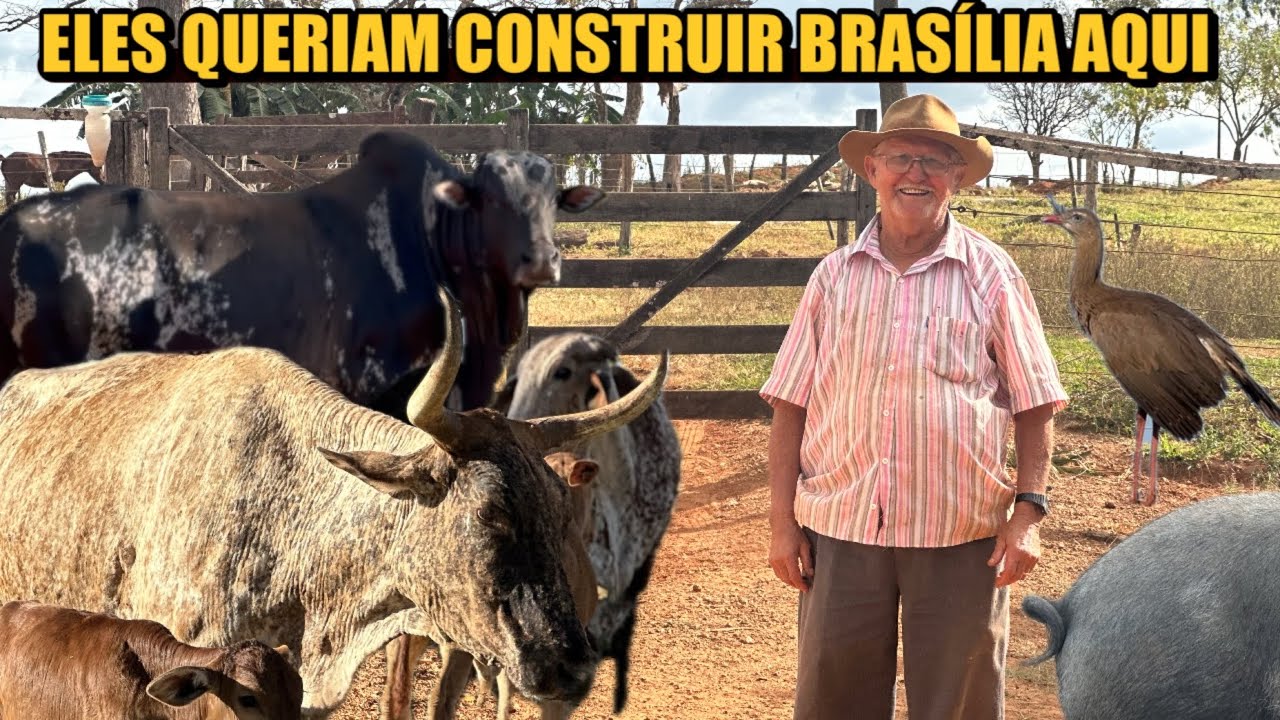 “JUCELINO KUBITSCHEK PLANTOU UMA ÁRVORE AQUI, NAQUELA ÉPOCA…”