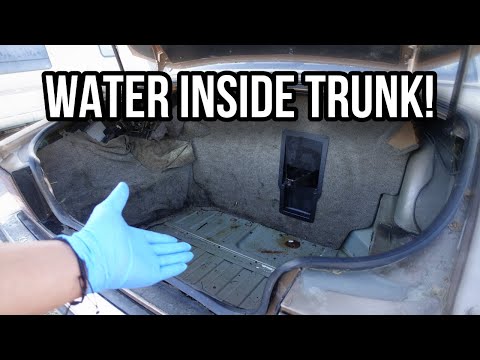 How To Find and Fix Trunk Water Leaks in Your Car