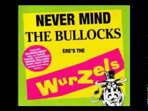 The Wurzels - It Wasn't Me