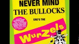 The Wurzels - It Wasn't Me