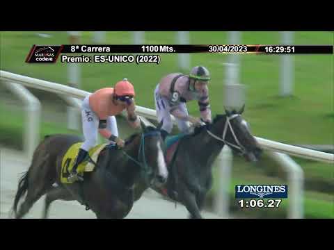 230430 c08 MAGESTIC HONOR