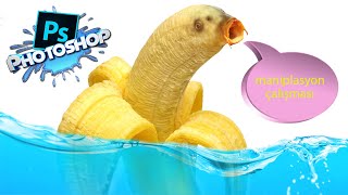 Çok kolay maniplasyon çalışması