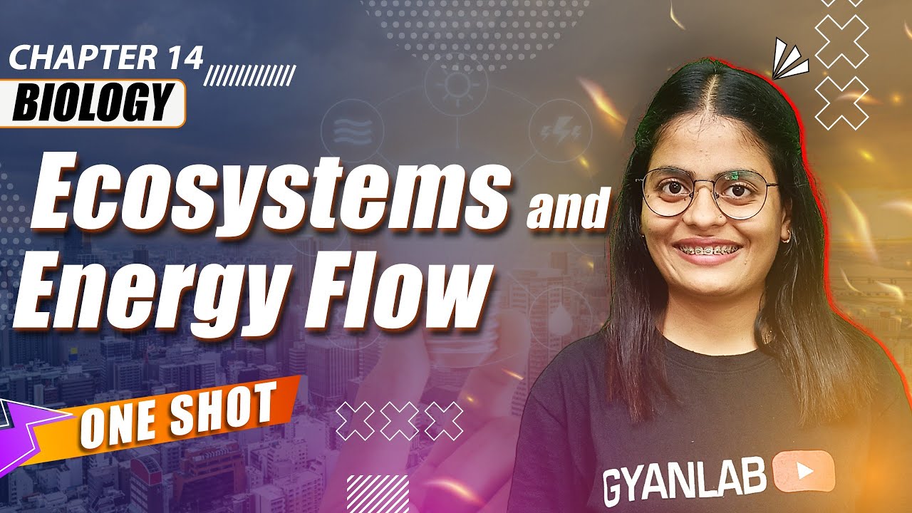 One Shot Lecture | Chp -14 | Ecosystem & Energy Flow | Gyanlab | Anjali Patel #oneshotlecture