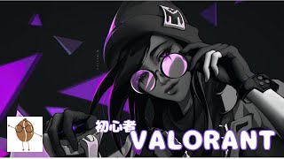 【VALO】飲酒VALORANT【2日目】