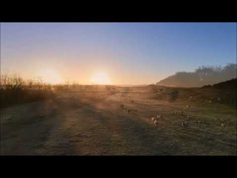 Frosty Sunrise. December 2025