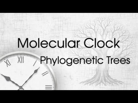 Molecular Clocks and Phylogenetic Trees: The Science of Evolutionary Dating