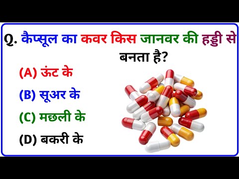 GK || GK Question || GK In Hindi || GK Question and Answer || GK Quiz || TRISHA GK