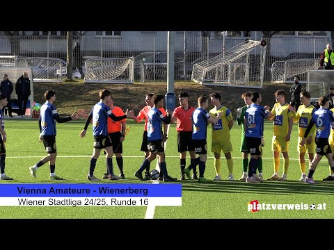 Highlights Vienna Amateure - Wienerberg, Wiener Stadtliga 24/25