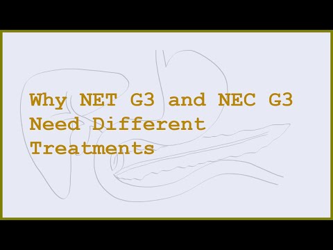 NET G3 vs NEC G3: Why Treatment Paradigms Are Opposite Despite Identical Ki-67
