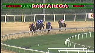 preview picture of video 'Arima Race Club - Day 42 - Saturday, December 14, 2013  - Race 2'