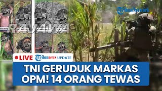 LIVE: Detik-Detik Mencekam Pasukan TNI Geruduk Markas OPM di Soanggama Papua, 14 Orang Tewas
