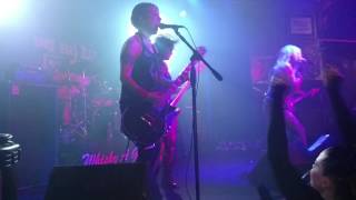 Barb Wire Dolls - Bodies