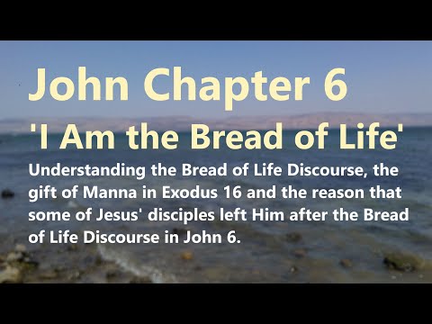 John 6: The Gospel of John, Catholic Bible Study, Fr. Tim Peters