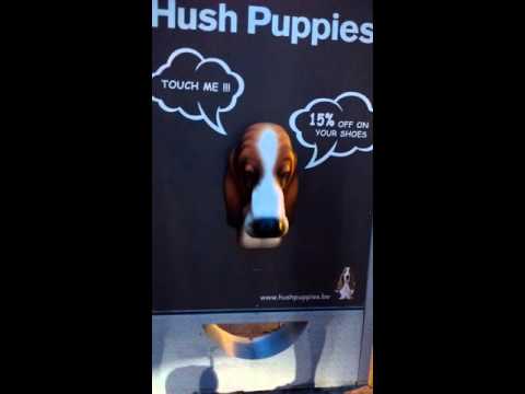 download lagu mp3 mp4 Hush Puppies Brussels, download lagu Hush Puppies Brussels gratis, unduh video klip Hush Puppies Brussels