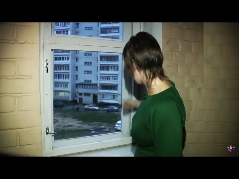 В Вологде-где-где. Выпуск М/Ж от 20.11.2018