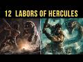The 12 Labors Of Hercules Greek Mythology Explained