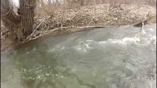 preview picture of video 'Under water trout in Naples creek 2013'