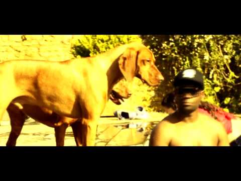 ( clip sexy ladies 2012 )  version longue - REXOS LA BASTOS feat MAX THE DOG