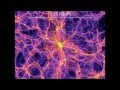 The Thinking Universe 
