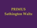 PRIMUS - Sathington Waltz