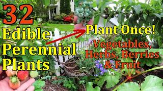 32 Edible Garden Plants to Plant Once & Enjoy For Years (Food That Grows Back Every Year)