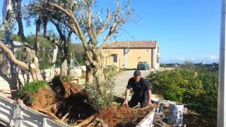 Work in progress  gino puleo