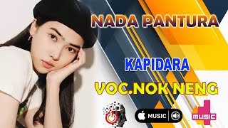 Download lagu KAPIDARA // VOCAL NOK NENG // NADA PANTURA mp3