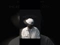Partynextdoor Belongs To The City 1 Hour Loop