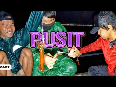 P1-SQUID FROM OCEAN TO PLATE - EP1115