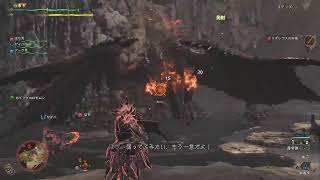 (/・ω・)/モンハーン