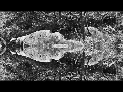 Vananidr - Dressed in Pain (Official Video) | Black Lion Records