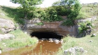 preview picture of video 'Bats swarming Cave entrance at Sinks of Gandy West Virginia'