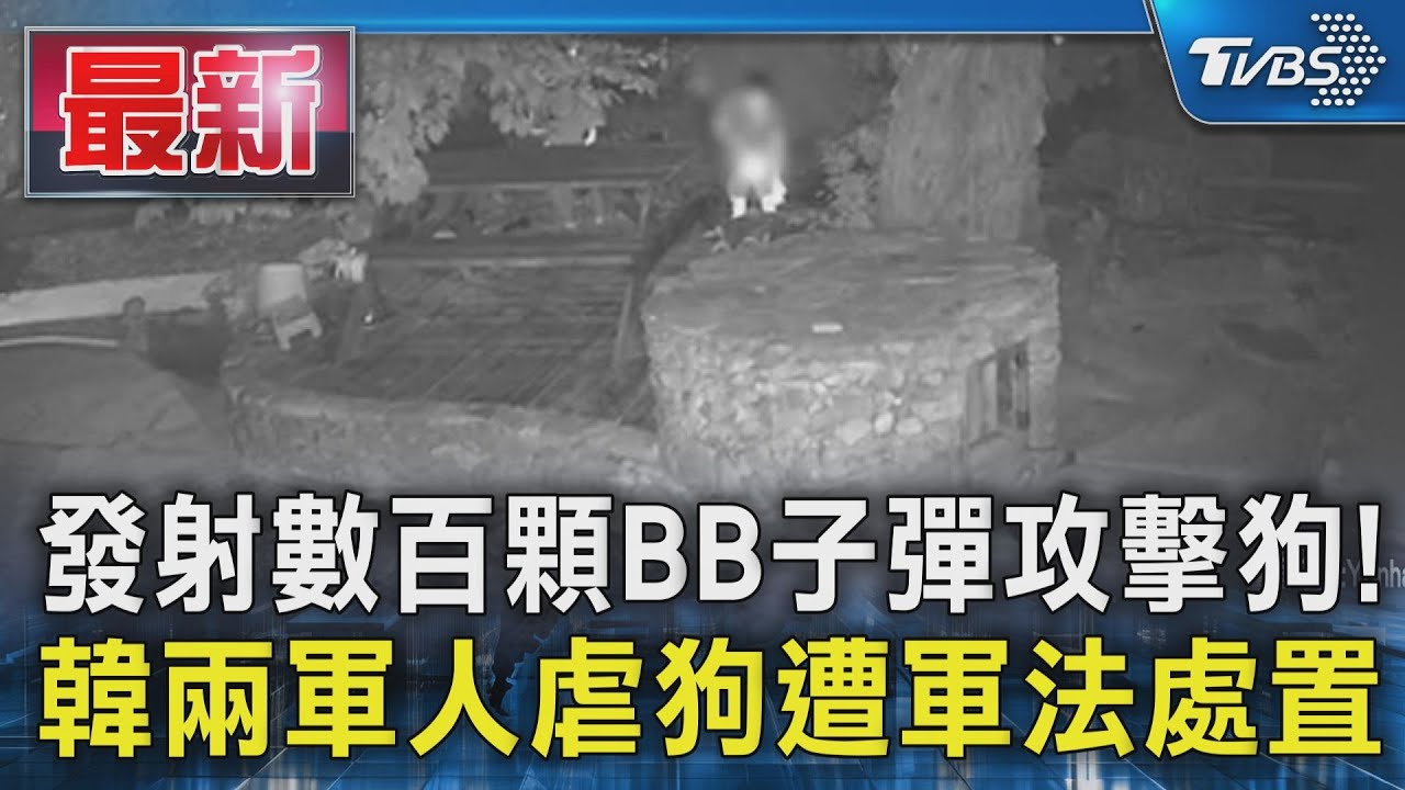 發射數百顆BB子彈攻擊狗! 韓兩軍人虐狗遭軍法處置