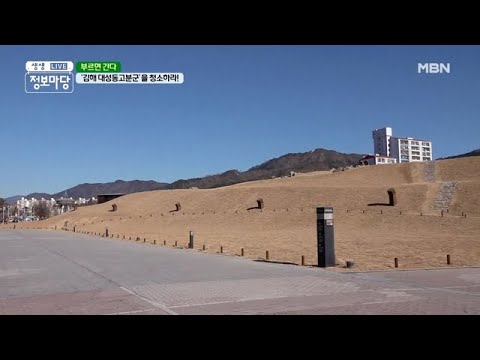 가야고분군 랜선투어(MBN 부르면 간다. 양상국) 썸네일
